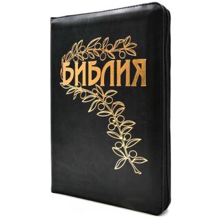 Библия Геце с молний обложка из винила