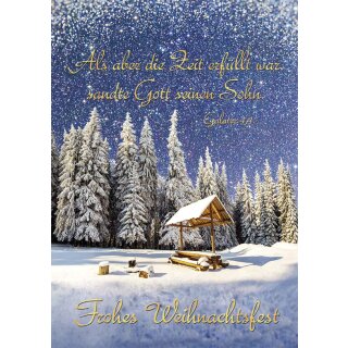 Postkarte - Als die Zeit erfüllet war