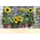 Neujahrslose - Garten