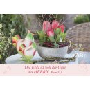 Neujahrslose - Garten