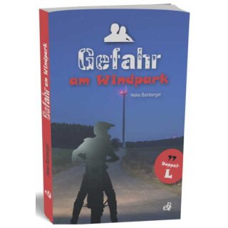 Buch Gefahr am Windpark