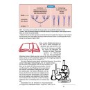 Schöpfung oder Evolution