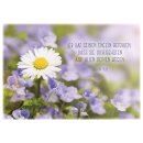 Postkartenbox - Getragen und getröstet