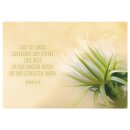 Postkartenbox - Getragen und getröstet