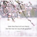 Bild mit Blüten und einem Bibelvers