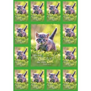 13 gleiche Aufkleber Kätzchen im Rasen