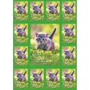 13 gleiche Aufkleber Kätzchen im Rasen