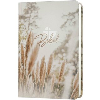 Ansicht der Schalchter 2000 mit Pampasgras auf dem Umschlag