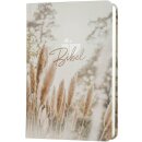 Ansicht der Schalchter 2000 mit Pampasgras auf dem Umschlag