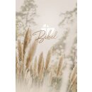 Anischt der Bibel von vorne