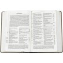 Ansicht der geöffneten Bibel