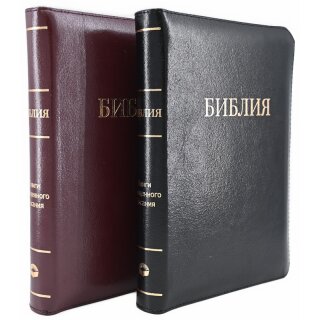 Библия в 2 цветах