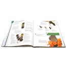 Auf den Spuren des Unsichtbaren