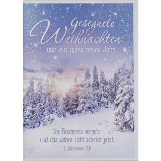 Faltkarte - Gesegnete Weihnachten