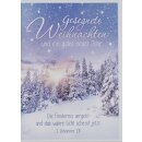 Faltkarte - Gesegnete Weihnachten
