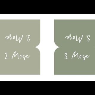 Bibel-Griffregister - Salbeigrün