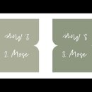 Bibel-Griffregister - Salbeigrün