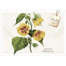 Neujahrslose - Meisterwerke