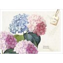 Postkartenbox - Meisterwerke des Schöpfers