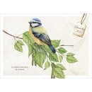 Postkartenbox - Meisterwerke des Schöpfers