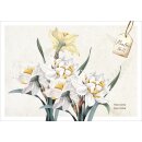 Postkartenbox - Meisterwerke des Schöpfers