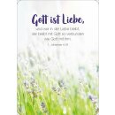 Blechdose - Königstochter