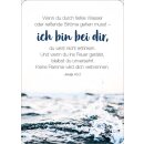 Blechdose - Königstochter