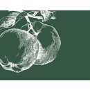 Jeder Tag ist ein Geschenk