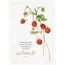 Postkartenset - GartenGlück