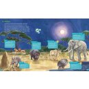 BOOKii® Hören und Staunen - Tiere in der Nacht