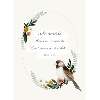 Postkarte - Hiob 19,25