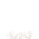 Postkarte - Joh. 11,25