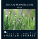 Kalender - Zeit der Stille - 2025