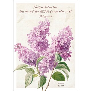 Postkarte - Lila Flieder