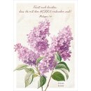 Postkarte - Lila Flieder