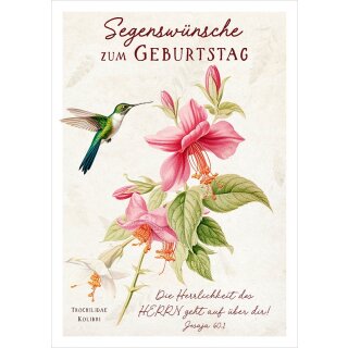 Postkarte - Farbenfroher Kolibri