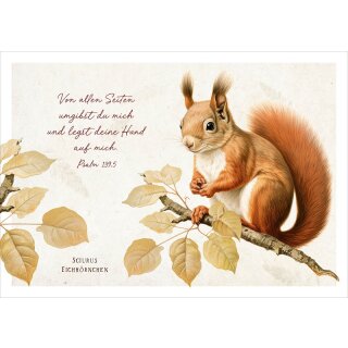 Postkarte - Niedliches Eichhörnchen