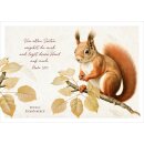 Postkarte - Niedliches Eichhörnchen