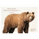 Postkarte - Braunbär
