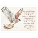 Postkarte - Majestätischer Turmfalke