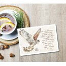 Postkarte - Majestätischer Turmfalke