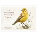 Postkarte - Goldammer