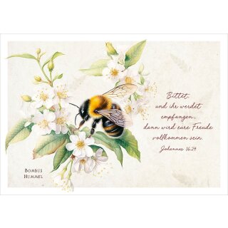 Postkarte - Hummel an Blüten