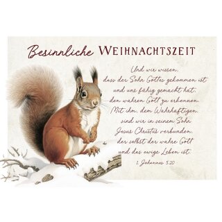 Postkarte - Eichhörnchen zu Weihnachten