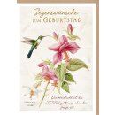 Faltkarte - Farbenfroher Kolibri