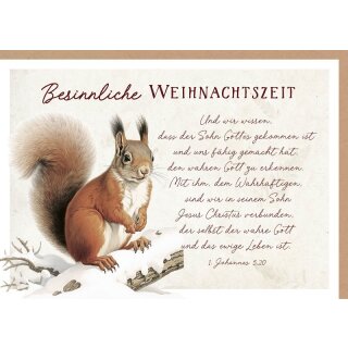 Faltkarte - Eichhörnchen im Winter