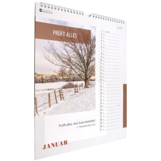 Wandkalender 2025