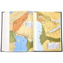 Schlachter 2000 - Standardausgabe - Duoleinen