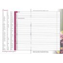 Terminkalender 2025 inkl. Bibelleseplan - A6