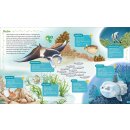 BOOKii® Im Meer und an der Küste